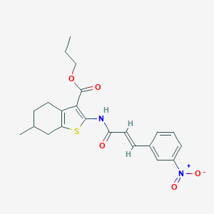 molecular formula C22H24N2O5S B334396 Propyl 2-[(3-{3-nitrophenyl}acryloyl)amino]-6-methyl-4,5,6,7-tetrahydro-1-benzothiophene-3-carboxylate 
