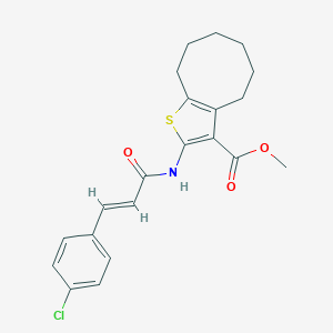 molecular formula C21H22ClNO3S B334527 Methyl 2-{[3-(4-chlorophenyl)acryloyl]amino}-4,5,6,7,8,9-hexahydrocycloocta[b]thiophene-3-carboxylate 