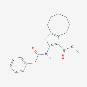 molecular formula C20H23NO3S B334538 Methyl 2-[(phenylacetyl)amino]-4,5,6,7,8,9-hexahydrocycloocta[b]thiophene-3-carboxylate 