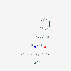 molecular formula C23H29NO B334554 3-(4-tert-butylphenyl)-N-(2,6-diethylphenyl)acrylamide 