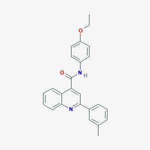 molecular formula C25H22N2O2 B334650 N-(4-ethoxyphenyl)-2-(3-methylphenyl)quinoline-4-carboxamide 