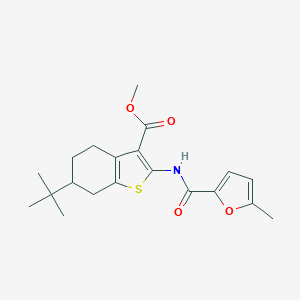 molecular formula C20H25NO4S B334702 Methyl 6-tert-butyl-2-[(5-methyl-2-furoyl)amino]-4,5,6,7-tetrahydro-1-benzothiophene-3-carboxylate 