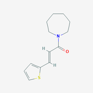 molecular formula C13H17NOS B334751 1-[3-(2-Thienyl)acryloyl]azepane 