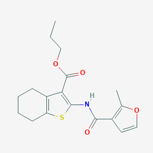 molecular formula C18H21NO4S B334783 Propyl 2-[(2-methyl-3-furoyl)amino]-4,5,6,7-tetrahydro-1-benzothiophene-3-carboxylate 