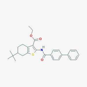 molecular formula C28H31NO3S B334840 Ethyl 2-[(biphenyl-4-ylcarbonyl)amino]-6-tert-butyl-4,5,6,7-tetrahydro-1-benzothiophene-3-carboxylate 
