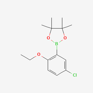 molecular formula C14H20BClO3 B3348404 5-Chloro-2-ethoxyphenylboronic acid pinacol ester CAS No. 1689512-53-5