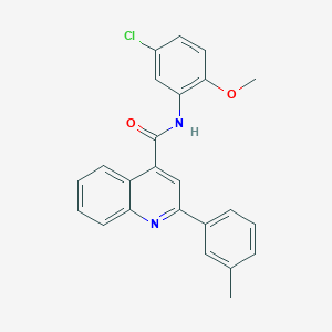 molecular formula C24H19ClN2O2 B334878 N-(5-chloro-2-methoxyphenyl)-2-(3-methylphenyl)quinoline-4-carboxamide 