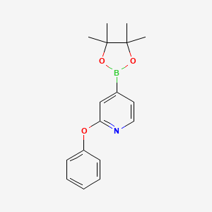 molecular formula C17H20BNO3 B3349219 2-Phenoxypyridine-4-boronic acid pinacol ester CAS No. 2096331-18-7