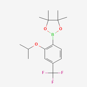 molecular formula C16H22BF3O3 B3349275 2-Isopropoxy-4-(trifluoromethyl)phenylboronic acid pinacol ester CAS No. 2121513-99-1