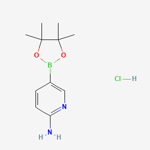 molecular formula C11H18BClN2O2 B3349280 2-Aminopyridine-5-boronic acid pinacol ester hydrochloride CAS No. 2121514-56-3