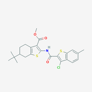 molecular formula C24H26ClNO3S2 B334992 Methyl 6-tert-butyl-2-{[(3-chloro-6-methyl-1-benzothien-2-yl)carbonyl]amino}-4,5,6,7-tetrahydro-1-benzothiophene-3-carboxylate 