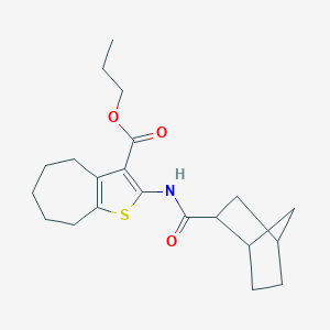 molecular formula C21H29NO3S B335085 propyl 2-[(bicyclo[2.2.1]hept-2-ylcarbonyl)amino]-5,6,7,8-tetrahydro-4H-cyclohepta[b]thiophene-3-carboxylate 