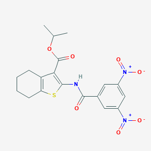 molecular formula C19H19N3O7S B335153 Isopropyl 2-({3,5-bisnitrobenzoyl}amino)-4,5,6,7-tetrahydro-1-benzothiophene-3-carboxylate 