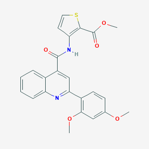 molecular formula C24H20N2O5S B335187 Methyl 3-({[2-(2,4-dimethoxyphenyl)-4-quinolinyl]carbonyl}amino)-2-thiophenecarboxylate 