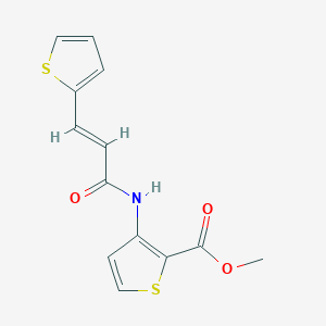 molecular formula C13H11NO3S2 B335257 Methyl 3-{[3-(2-thienyl)acryloyl]amino}-2-thiophenecarboxylate 