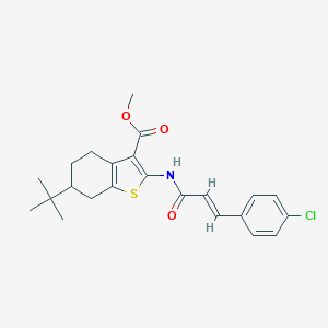 molecular formula C23H26ClNO3S B335264 Methyl 6-tert-butyl-2-{[3-(4-chlorophenyl)acryloyl]amino}-4,5,6,7-tetrahydro-1-benzothiophene-3-carboxylate 