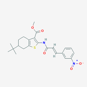 molecular formula C23H26N2O5S B335330 Methyl 6-tert-butyl-2-[(3-{3-nitrophenyl}acryloyl)amino]-4,5,6,7-tetrahydro-1-benzothiophene-3-carboxylate 
