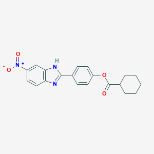 molecular formula C20H19N3O4 B335331 4-(5-nitro-1H-benzimidazol-2-yl)phenyl cyclohexanecarboxylate 