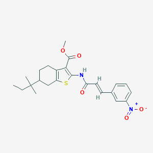 Methyl 2-[(3-{3-nitrophenyl}acryloyl)amino]-6-tert-pentyl-4,5,6,7-tetrahydro-1-benzothiophene-3-carboxylate