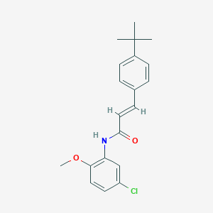 molecular formula C20H22ClNO2 B335472 3-(4-tert-butylphenyl)-N-(5-chloro-2-methoxyphenyl)acrylamide 