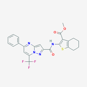 molecular formula C24H19F3N4O3S B335613 Methyl 2-({[5-phenyl-7-(trifluoromethyl)pyrazolo[1,5-a]pyrimidin-2-yl]carbonyl}amino)-4,5,6,7-tetrahydro-1-benzothiophene-3-carboxylate 