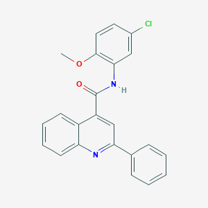 molecular formula C23H17ClN2O2 B335689 N-(5-chloro-2-methoxyphenyl)-2-phenylquinoline-4-carboxamide 