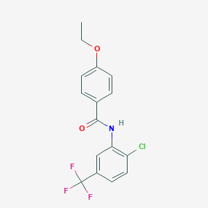molecular formula C16H13ClF3NO2 B335704 N-[2-chloro-5-(trifluoromethyl)phenyl]-4-ethoxybenzamide 