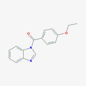 molecular formula C16H14N2O2 B335728 1-(4-ethoxybenzoyl)-1H-benzimidazole 