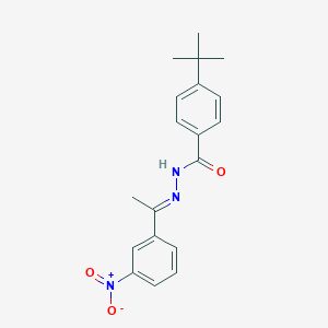 molecular formula C19H21N3O3 B335797 4-tert-butyl-N'-(1-{3-nitrophenyl}ethylidene)benzohydrazide 