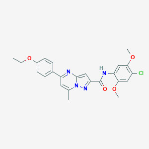 molecular formula C24H23ClN4O4 B335928 N-(4-chloro-2,5-dimethoxyphenyl)-5-(4-ethoxyphenyl)-7-methylpyrazolo[1,5-a]pyrimidine-2-carboxamide 