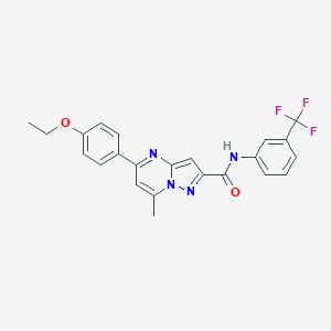 molecular formula C23H19F3N4O2 B336047 5-(4-ethoxyphenyl)-7-methyl-N-[3-(trifluoromethyl)phenyl]pyrazolo[1,5-a]pyrimidine-2-carboxamide 