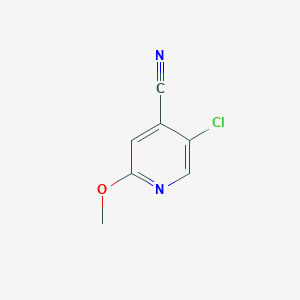 molecular formula C7H5ClN2O B3361632 5-Chloro-2-methoxyisonicotinonitrile CAS No. 924651-92-3