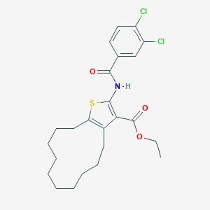 molecular formula C24H29Cl2NO3S B336253 Ethyl 2-[(3,4-dichlorobenzoyl)amino]-4,5,6,7,8,9,10,11,12,13-decahydrocyclododeca[b]thiophene-3-carboxylate 