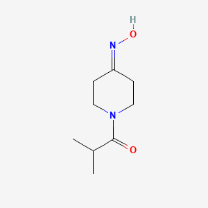 molecular formula C9H16N2O2 B3362586 1-[4-(Hydroxyimino)piperidin-1-yl]-2-methylpropan-1-one CAS No. 1000933-35-6