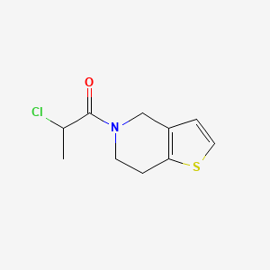 molecular formula C10H12ClNOS B3362995 2-氯-1-{4H,5H,6H,7H-噻吩并[3,2-c]吡啶-5-基}丙-1-酮 CAS No. 1016783-06-4