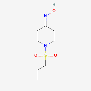 molecular formula C8H16N2O3S B3363004 1-(Propylsulfonyl)piperidin-4-one oxime CAS No. 1016800-97-7