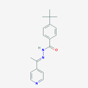 molecular formula C18H21N3O B336397 4-tert-butyl-N'-[1-(4-pyridinyl)ethylidene]benzohydrazide 