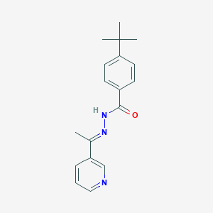 molecular formula C18H21N3O B336399 4-tert-butyl-N-[(E)-1-pyridin-3-ylethylideneamino]benzamide 