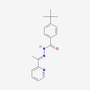 molecular formula C18H21N3O B336404 4-tert-butyl-N'-(1-pyridin-2-ylethylidene)benzohydrazide 