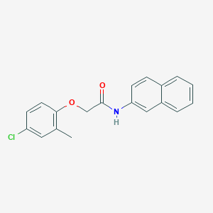 molecular formula C19H16ClNO2 B336413 2-(4-chloro-2-methylphenoxy)-N-(2-naphthyl)acetamide 