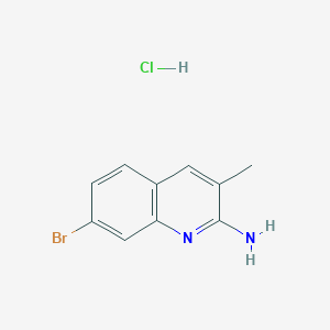 molecular formula C10H10BrClN2 B3364570 2-Amino-7-bromo-3-methylquinoline hydrochloride CAS No. 1170636-12-0