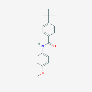 molecular formula C19H23NO2 B336506 4-tert-butyl-N-(4-ethoxyphenyl)benzamide 