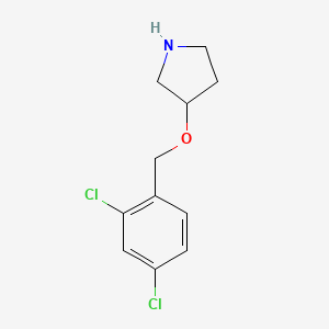 molecular formula C11H13Cl2NO B3365290 3-((2,4-Dichlorobenzyl)oxy)pyrrolidine CAS No. 1216252-62-8
