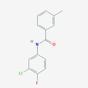 molecular formula C14H11ClFNO B336533 N-(3-chloro-4-fluorophenyl)-3-methylbenzamide 