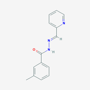 molecular formula C14H13N3O B336540 3-methyl-N'-(2-pyridinylmethylene)benzohydrazide 