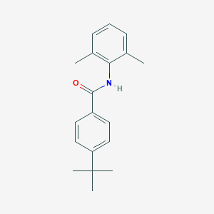molecular formula C19H23NO B336555 4-tert-butyl-N-(2,6-dimethylphenyl)benzamide 