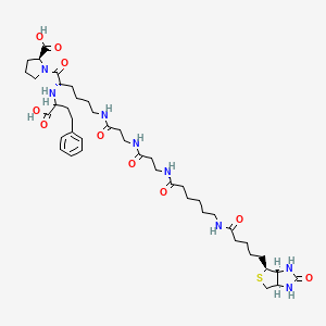 molecular formula C43H66N8O10S B3365955 epsilon-Biotinamidocaproyl-beta-ala-beta-ala-lisinopril CAS No. 130007-46-4