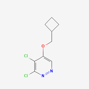 molecular formula C9H10Cl2N2O B3366268 3,4-Dichloro-5-(cyclobutylmethoxy)pyridazine CAS No. 1346698-16-5