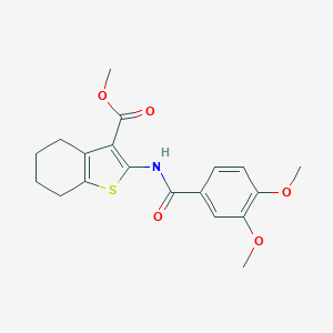 molecular formula C19H21NO5S B336636 Methyl 2-[(3,4-dimethoxybenzoyl)amino]-4,5,6,7-tetrahydro-1-benzothiophene-3-carboxylate 