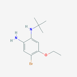 molecular formula C12H19BrN2O B3366468 4-Bromo-1-N-tert-butyl-5-ethoxybenzene-1,2-diamine CAS No. 1373233-27-2